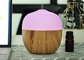 160ml Plastic USB Essential Oils Nuts USB Ultrasonic Home Aromatherapy Essential Oil Humidifier